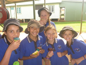 Cup Cake Fundraiser